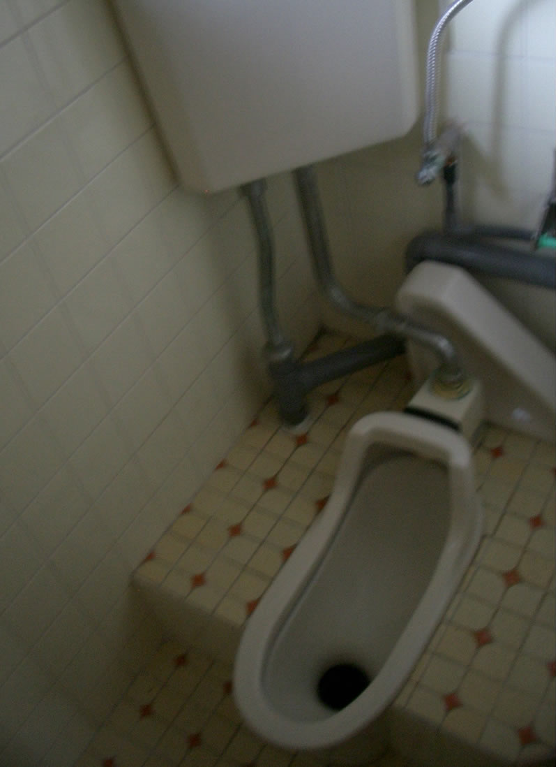 リフォーム　トイレビフォー05